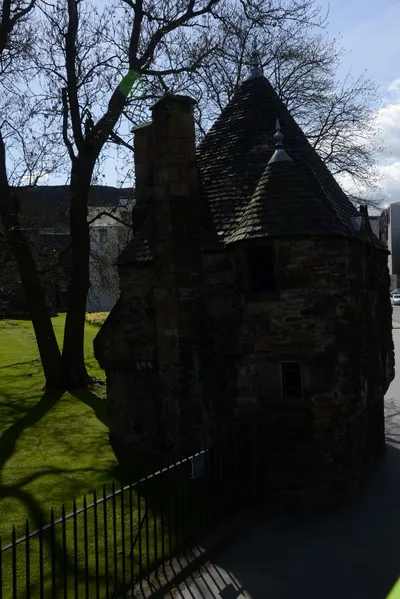 DSC_7340 (Large).JPG